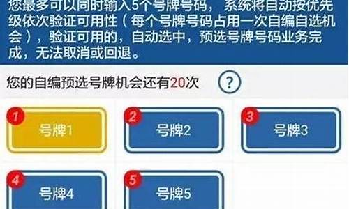 二手车没过户可以网上选号吗_二手车选号逾期未办理车牌